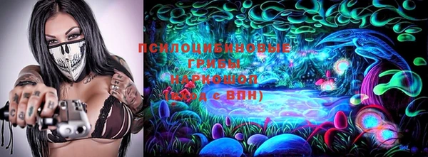 дживик Корсаков