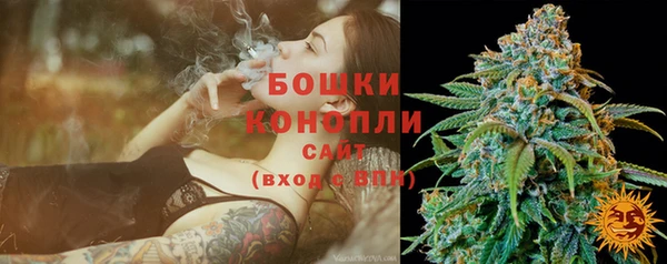 дживик Корсаков