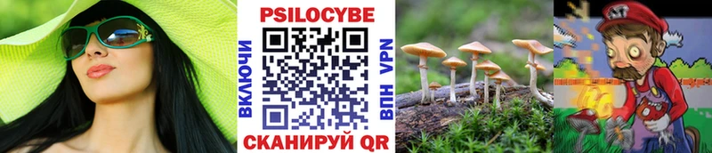 Купить где  Саранск  Галлюциногенные грибы мицелий 